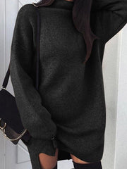 Women's  High Collar  Plain Bat Wing Sleeve Sweater